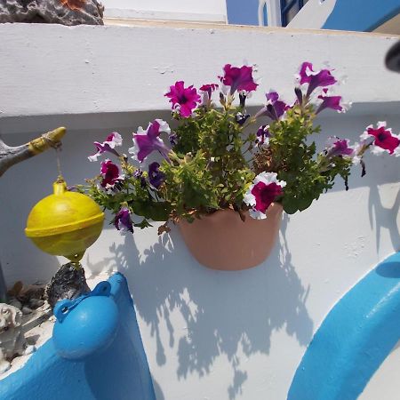 Captain Homestay Cape Eluanbi Екстериор снимка